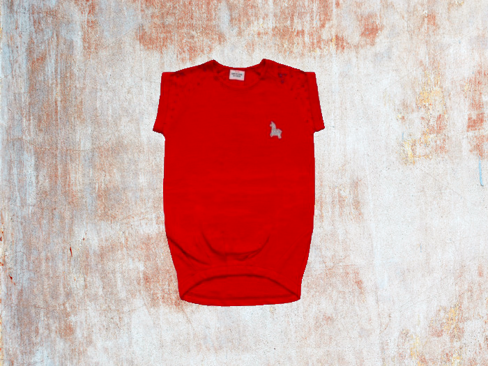 Children Wear